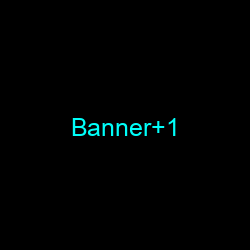 Banner 1