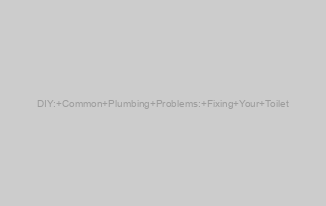 DIY: Common Plumbing Problems: Fixing Your Toilet