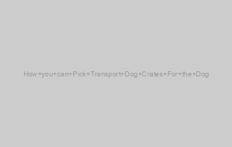 How you can Pick Transport Dog Crates For the Dog