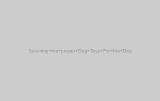 Selecting the proper Dog Toys For the Dog