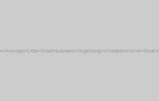 The Distinction Amongst Little Small business Organizing in addition to a Small business Plan