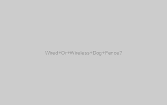 Wired Or Wireless Dog Fence?