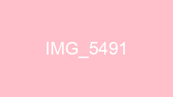IMG_5491