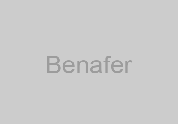 Logo Benafer