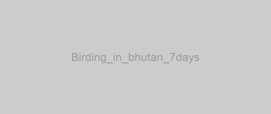 Birding_in_bhutan_7days