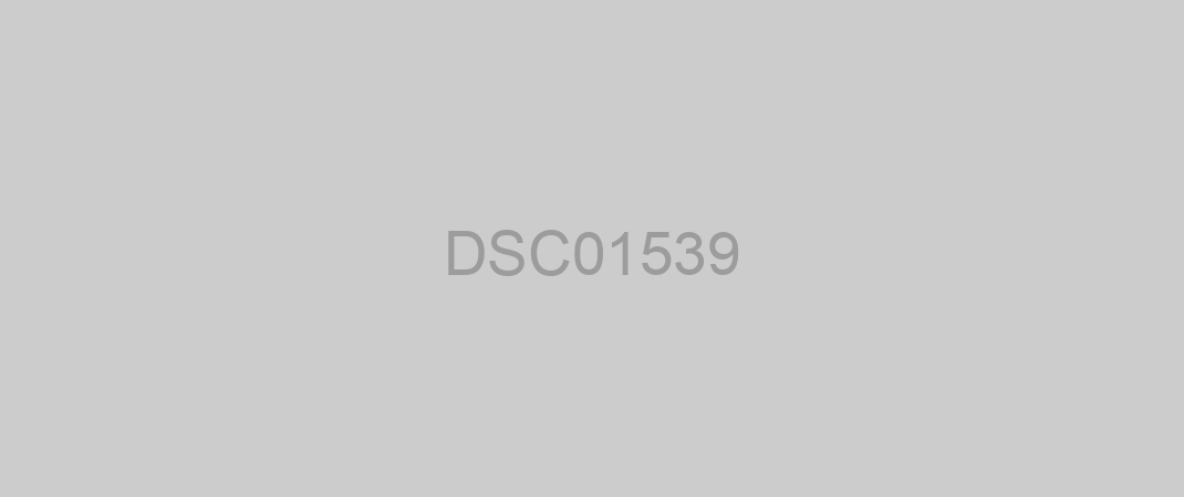 DSC01539
