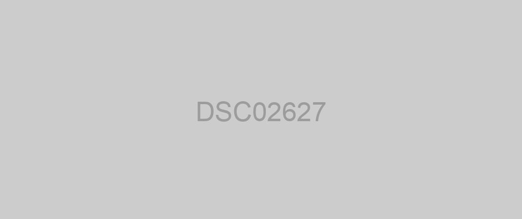 DSC02627