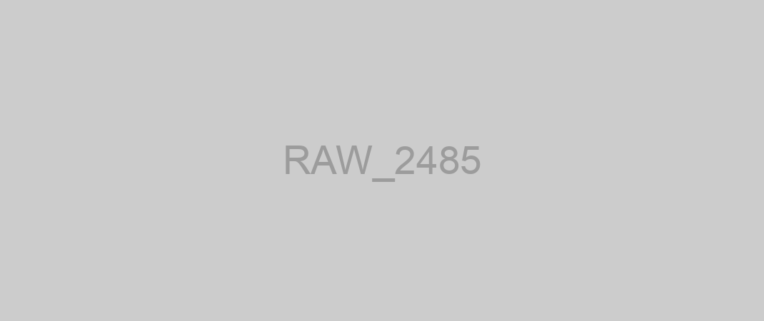 RAW_2485