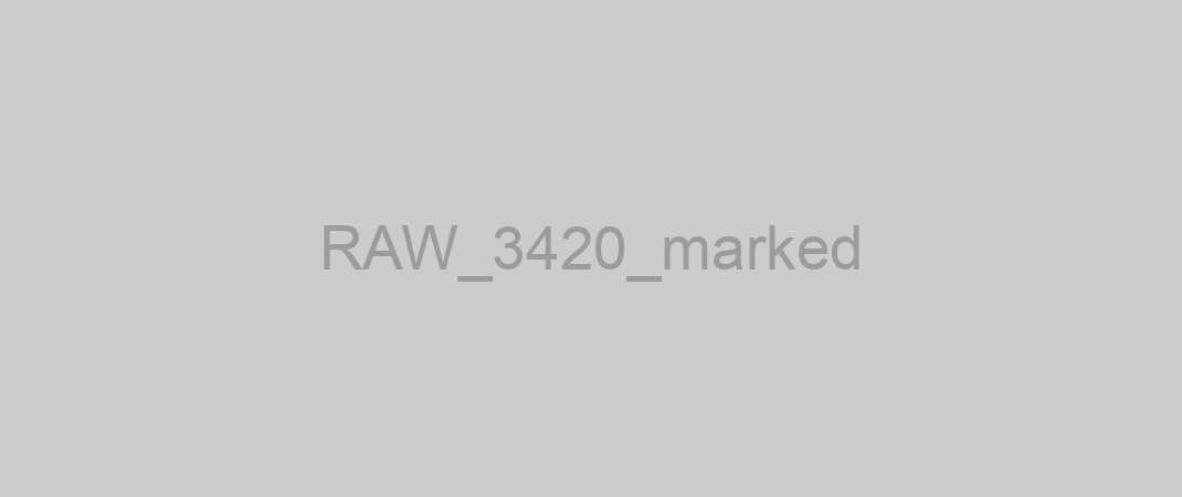 RAW_3420_marked