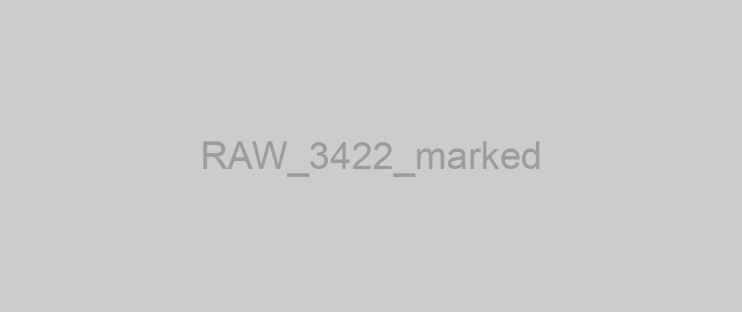 RAW_3422_marked