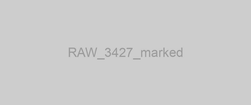 RAW_3427_marked