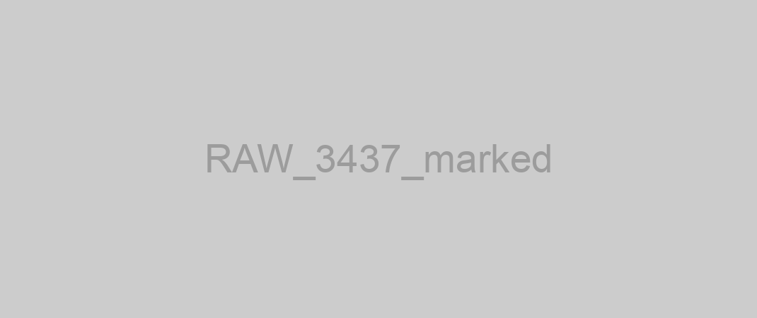RAW_3437_marked