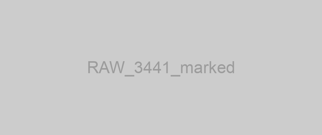 RAW_3441_marked