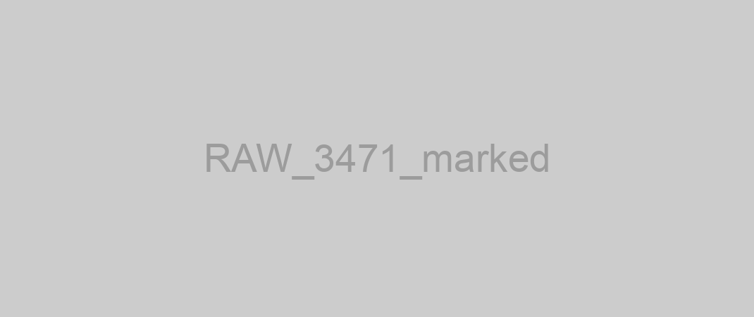 RAW_3471_marked