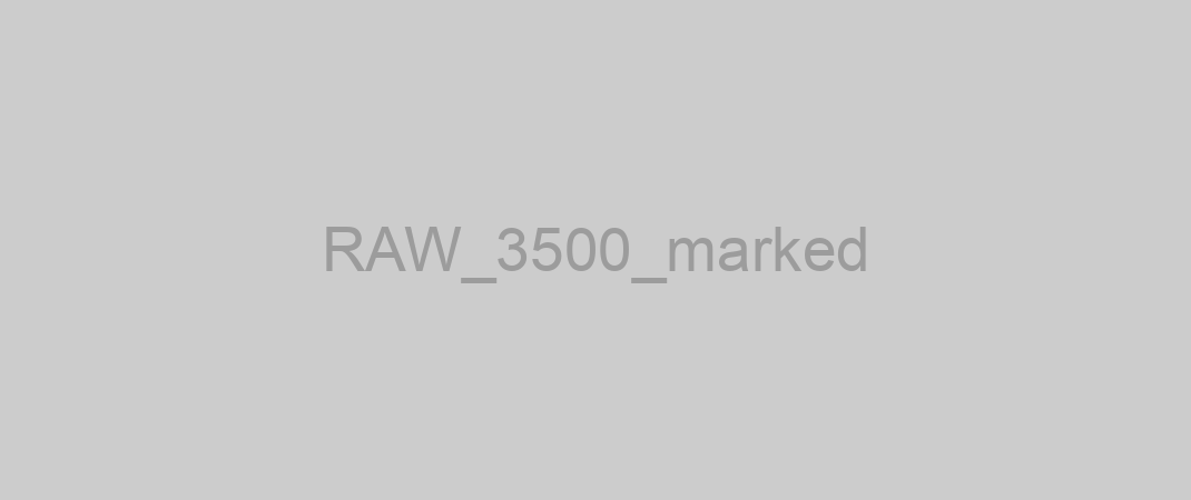 RAW_3500_marked
