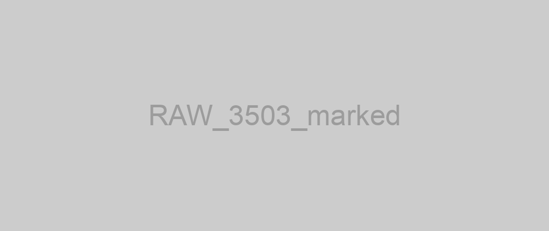 RAW_3503_marked