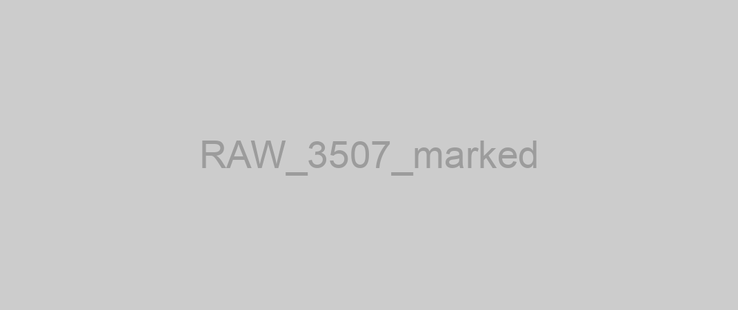 RAW_3507_marked
