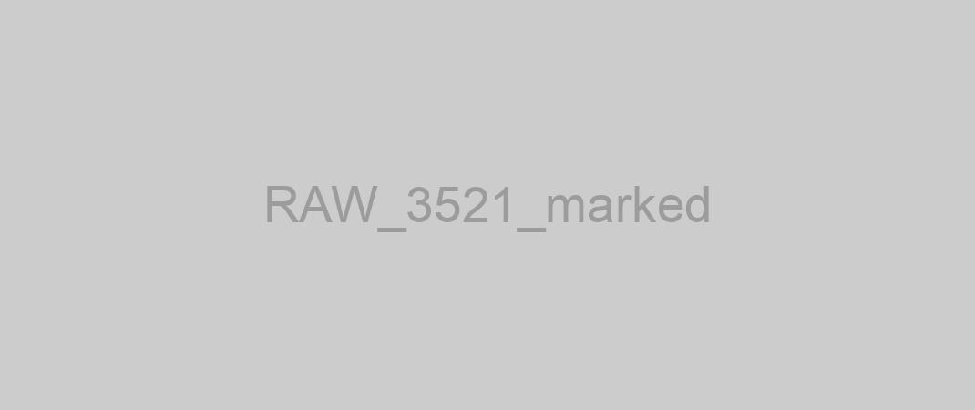 RAW_3521_marked