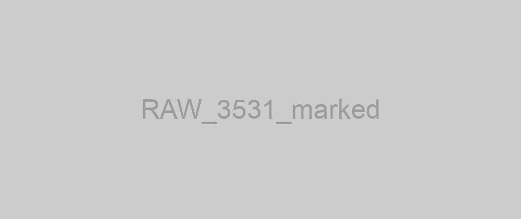 RAW_3531_marked