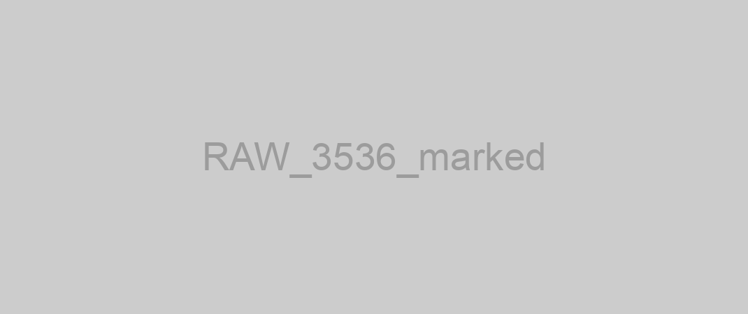 RAW_3536_marked