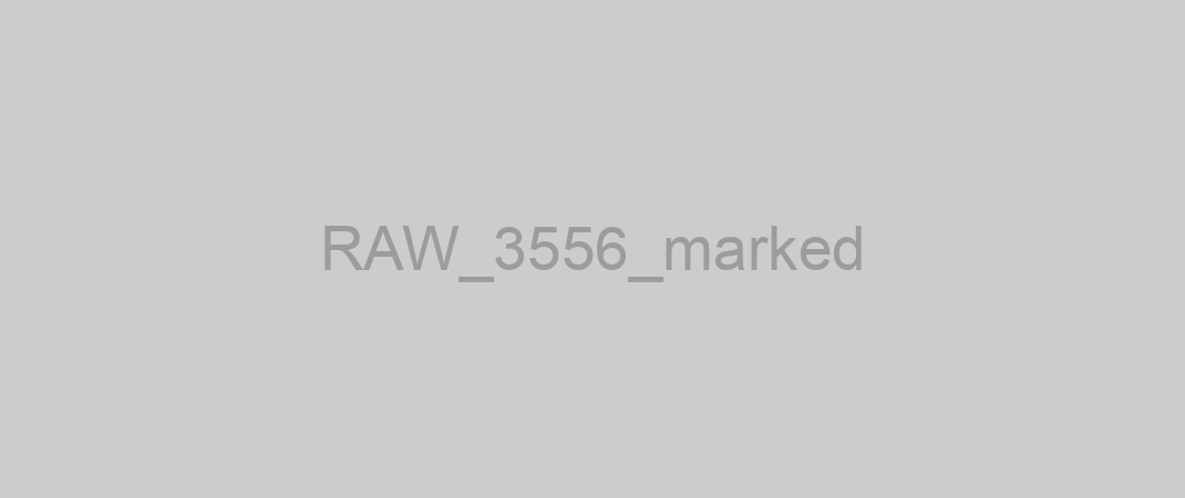 RAW_3556_marked