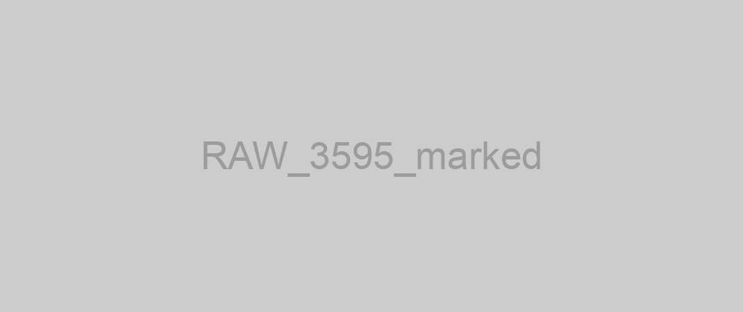 RAW_3595_marked