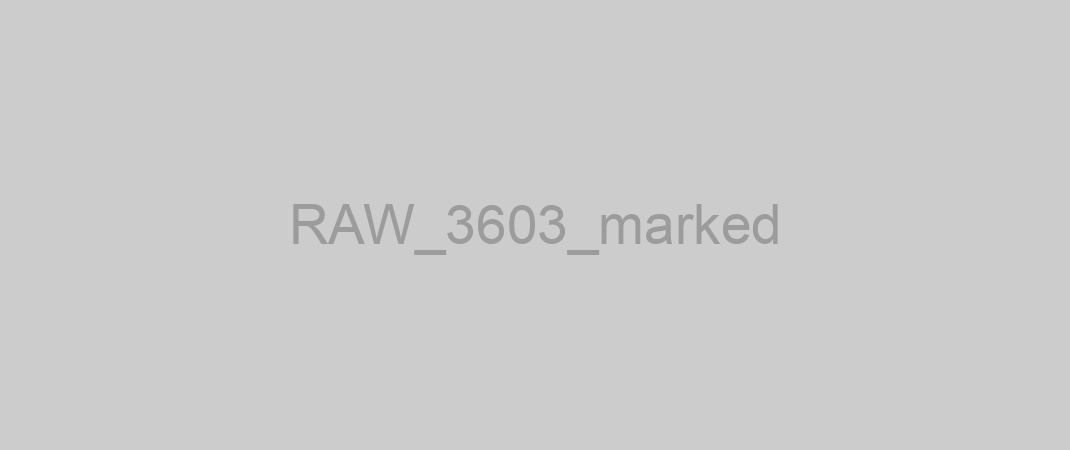 RAW_3603_marked