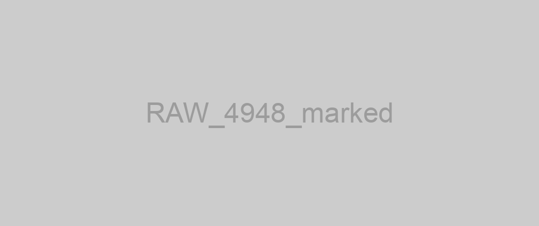 RAW_4948_marked