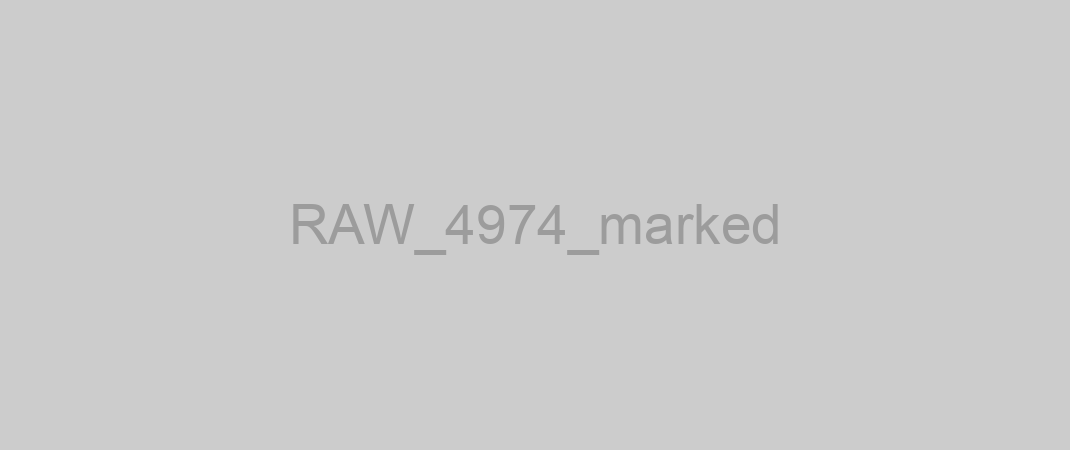 RAW_4974_marked
