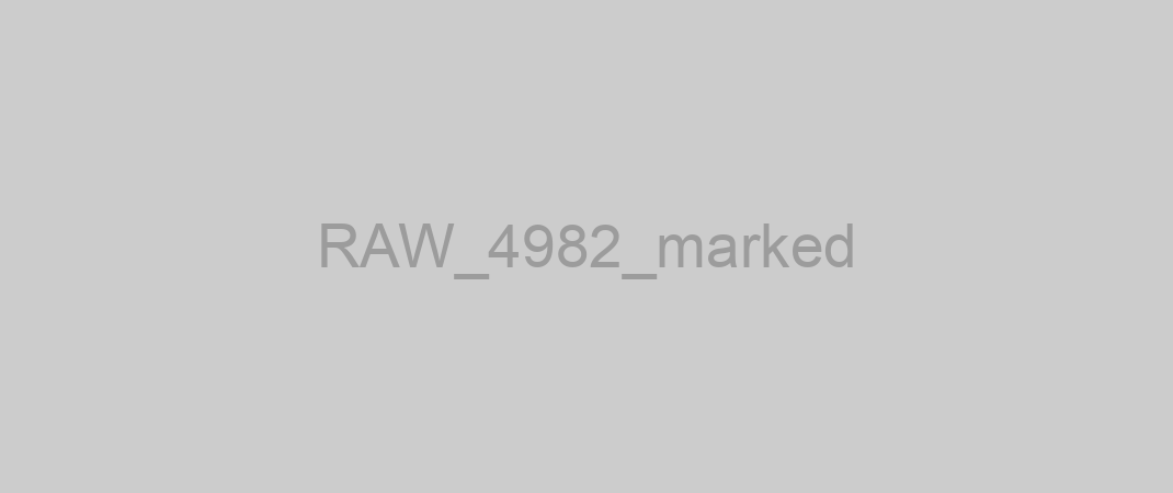 RAW_4982_marked