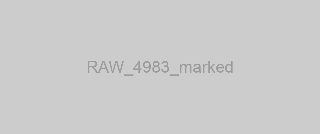 RAW_4983_marked