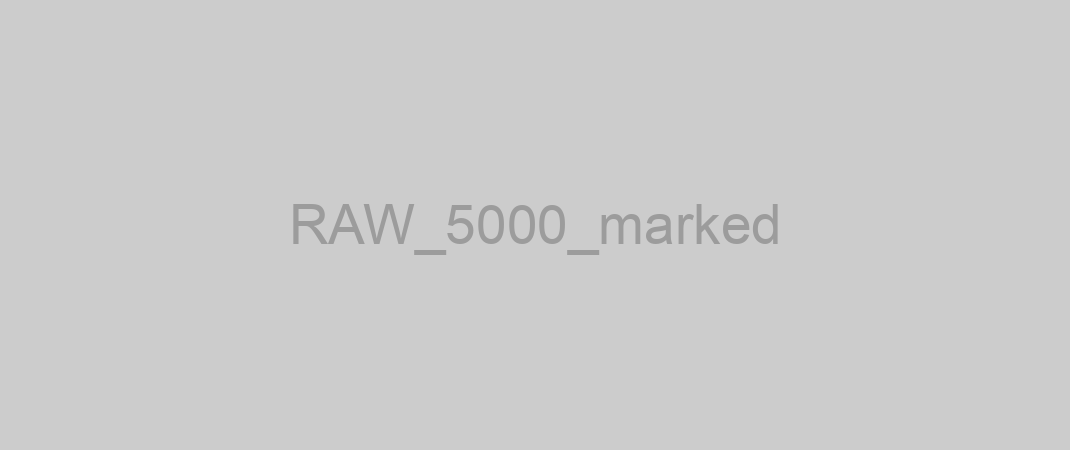 RAW_5000_marked