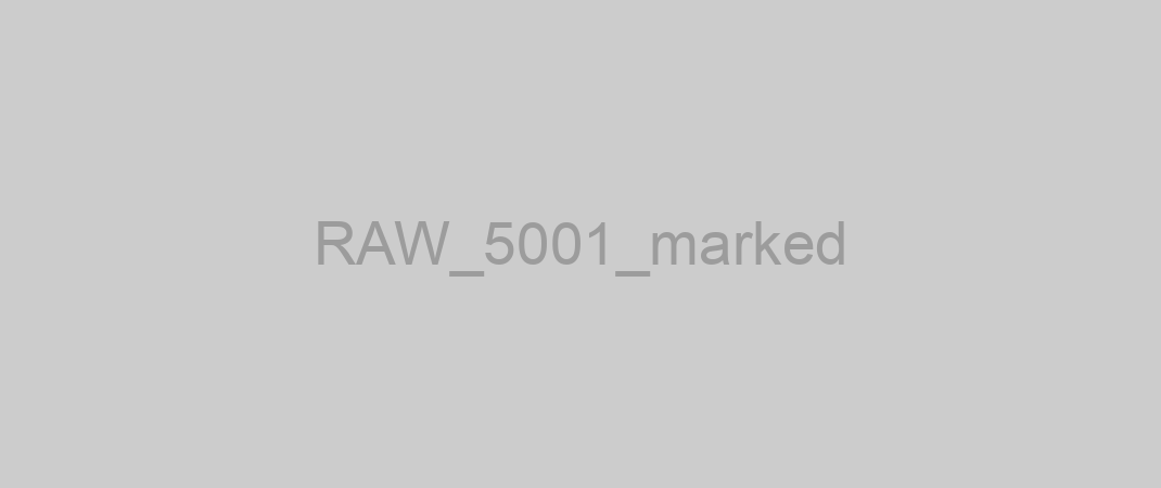 RAW_5001_marked