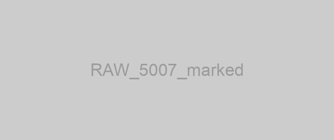 RAW_5007_marked