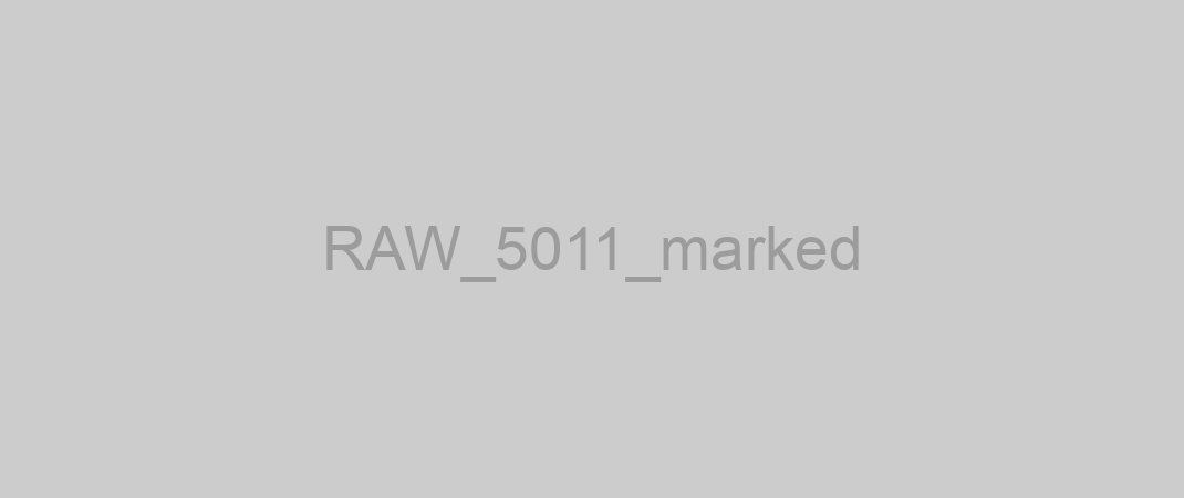 RAW_5011_marked