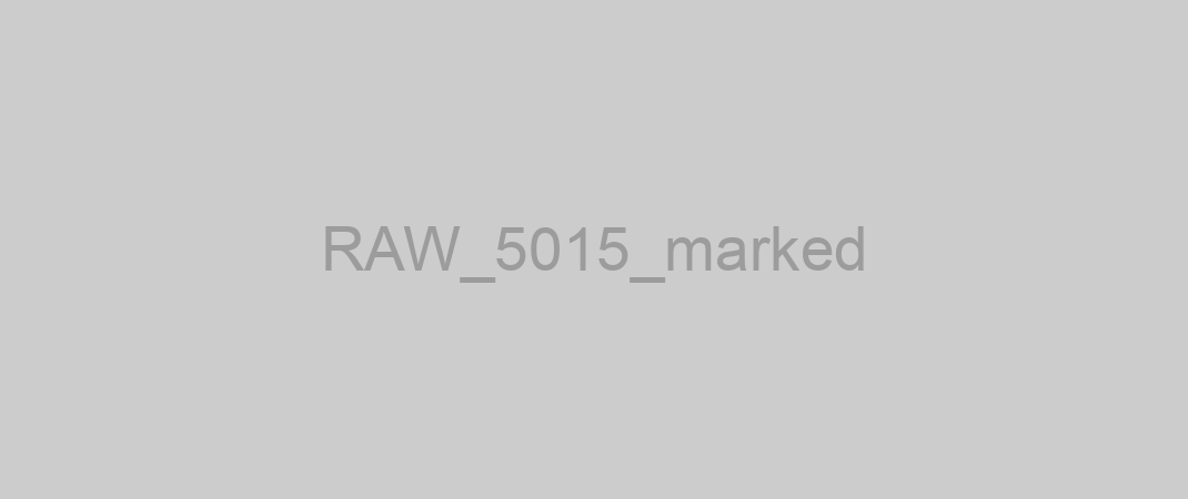 RAW_5015_marked