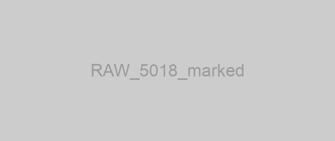 RAW_5018_marked
