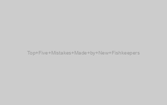 Top Five Mistakes Made by New Fishkeepers