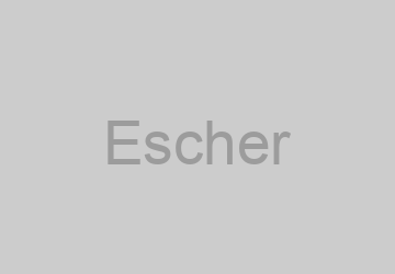 Logo Escher