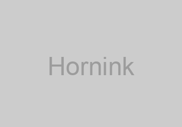 Logo Hornink