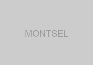 Logo MONTSEL