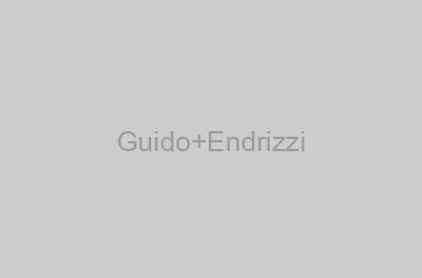 Guido Endrizzi