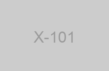 X-101
