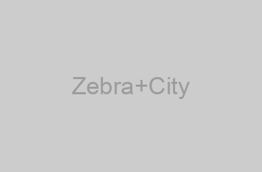Zebra City