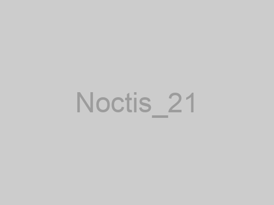 Noctis_21