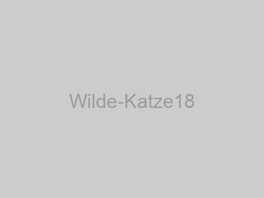 Wilde-Katze18