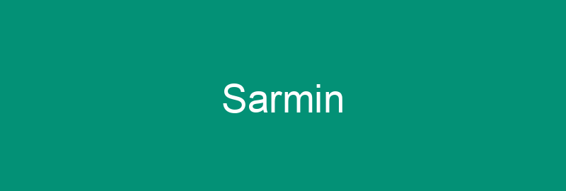 Sarmin