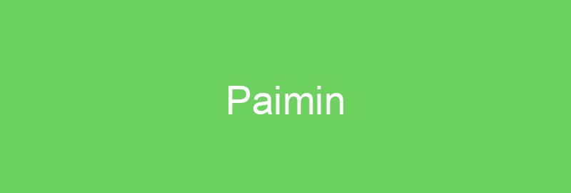 Paimin