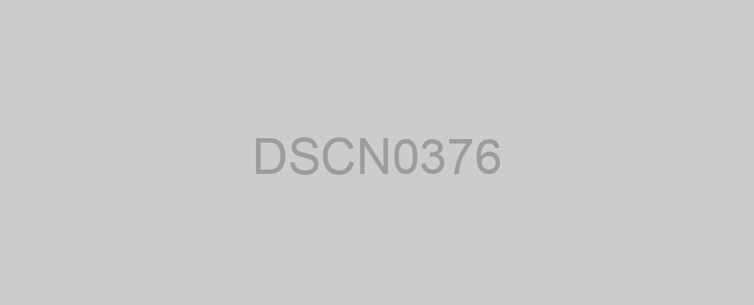 DSCN0376