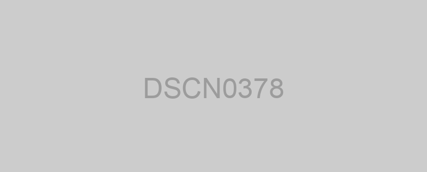 DSCN0378